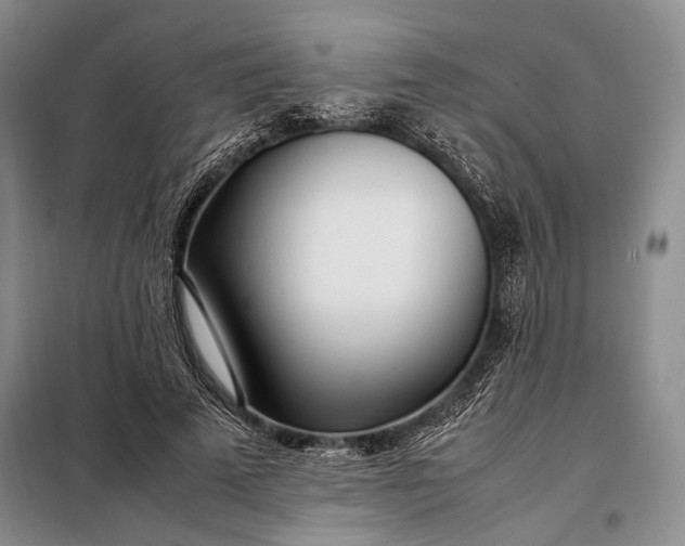 X0000098120689200804181521