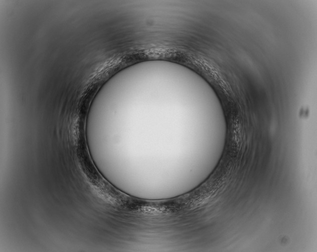 X0000098120690200804181521
