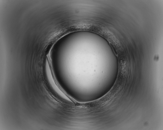 X0000098120692200804181521