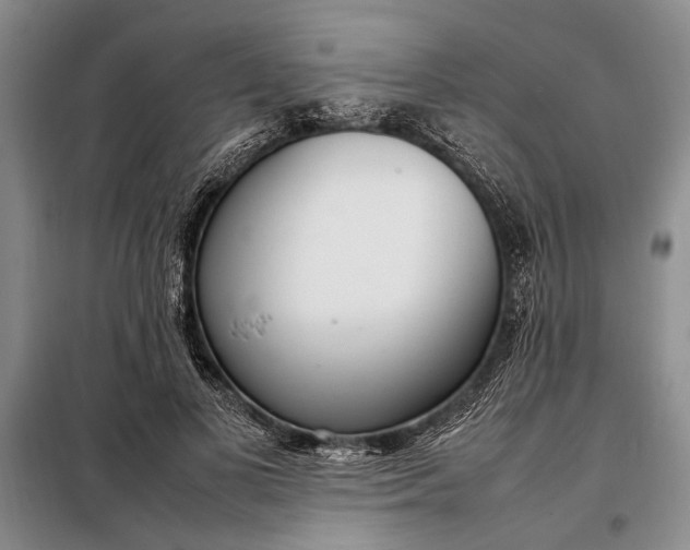 X0000098120693200804181521