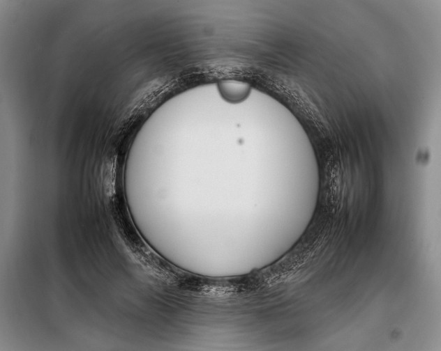 X0000098120694200804181521