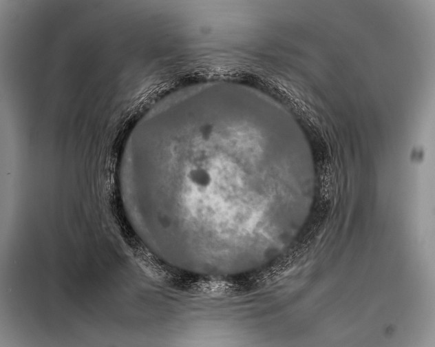 X0000098120695200804181521