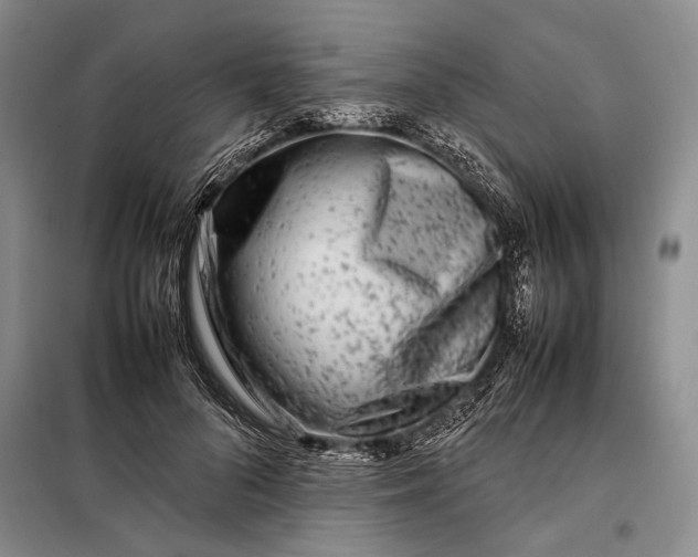 X0000098120696200804181521