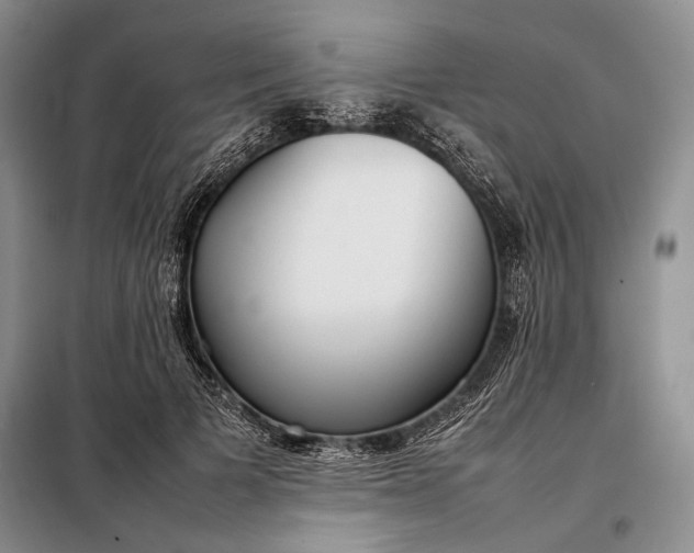 X0000098120697200804181521