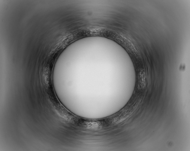 X0000098120698200804181521