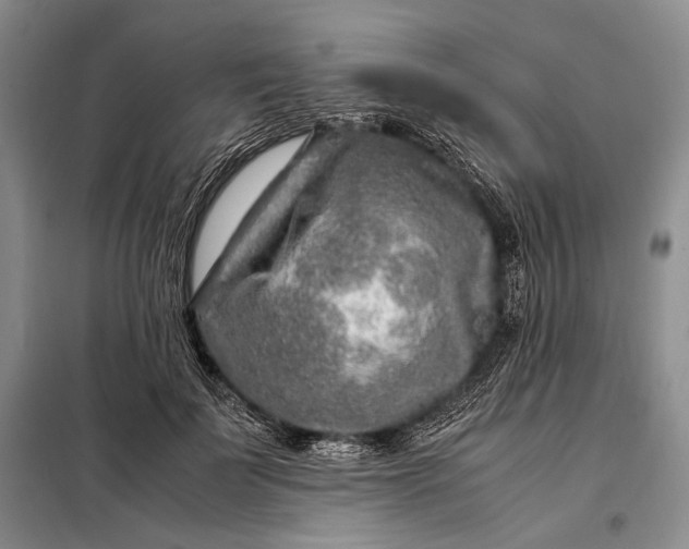 X0000098120699200804181521