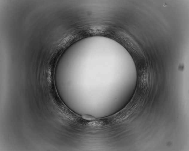 X0000098120700200804181521
