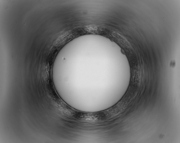 X0000098120702200804181521