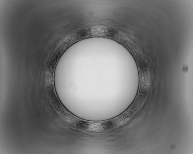 X0000098120705200804181521