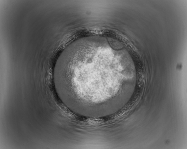 X0000098120707200804181521
