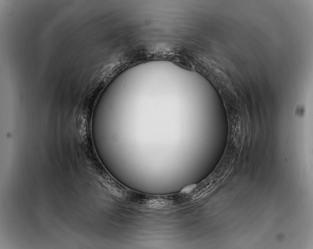X0000098120708200804181521
