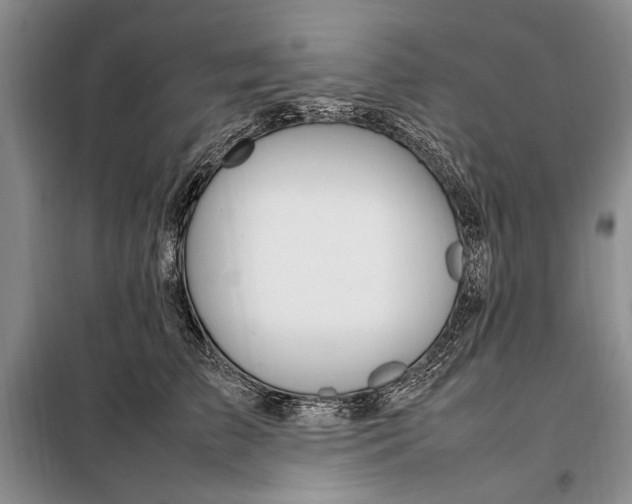 X0000098120709200804181521