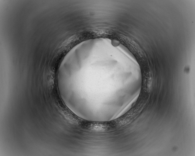 X0000098120710200804181521