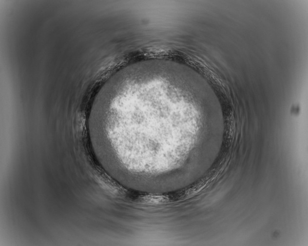 X0000098120711200804181521