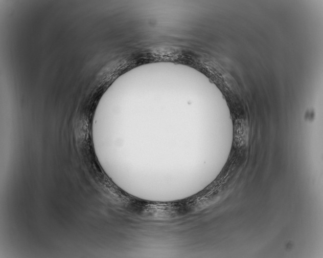 X0000098120713200804181520