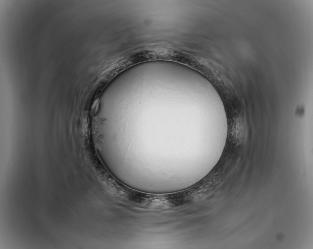 X0000098120715200804181520