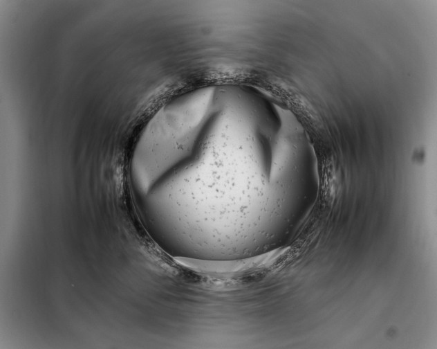 X0000098120716200804181520