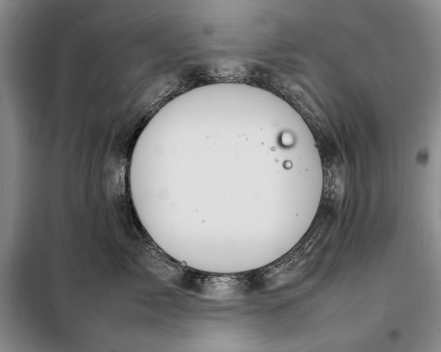 X0000098120717200804181520