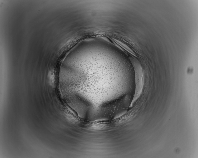 X0000098120720200804181520