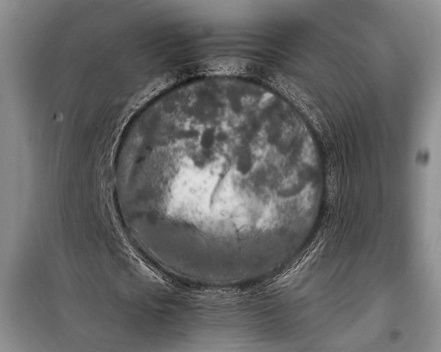 X0000098120721200804181520