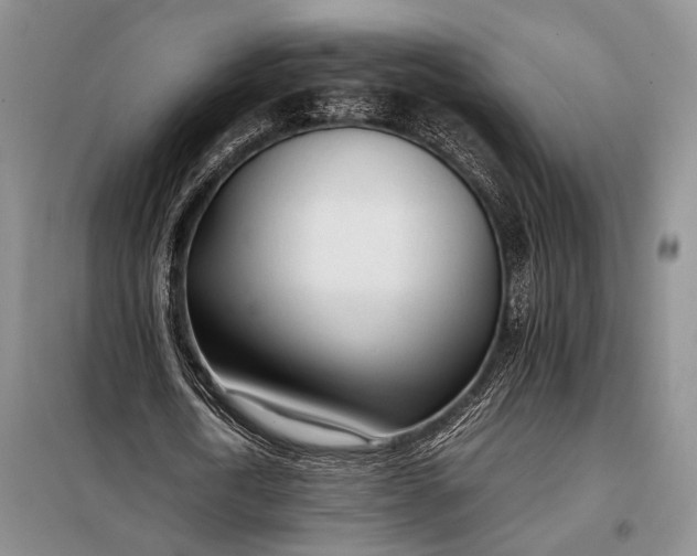 X0000098120722200804181520