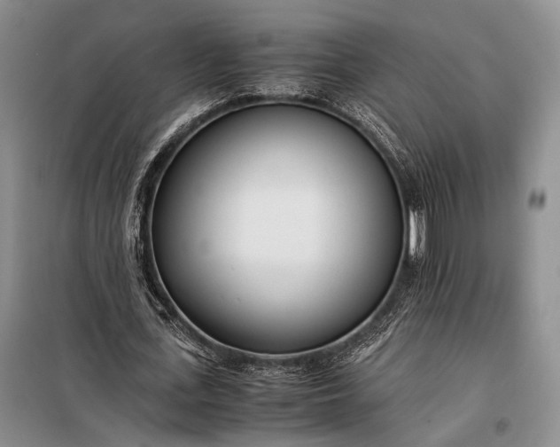 X0000098120723200804181520