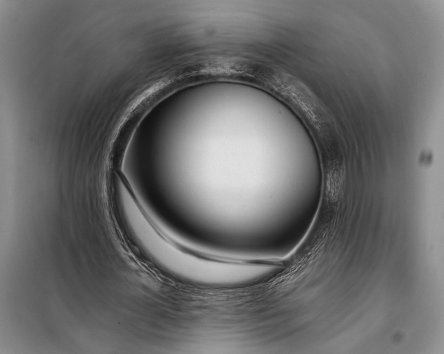 X0000098120724200804181520