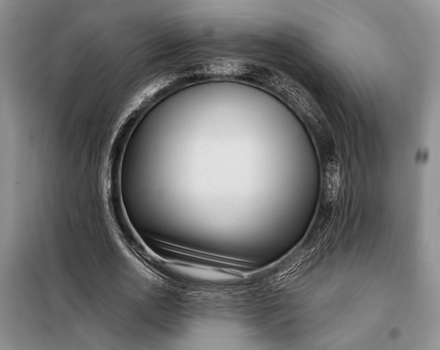 X0000098120726200804181520