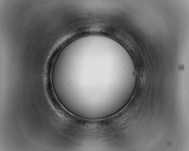 X0000098120728200804181520
