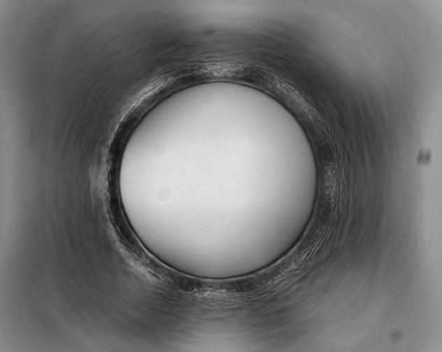 X0000098120730200804181520