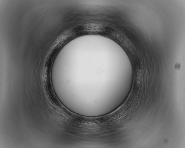 X0000098120731200804181520