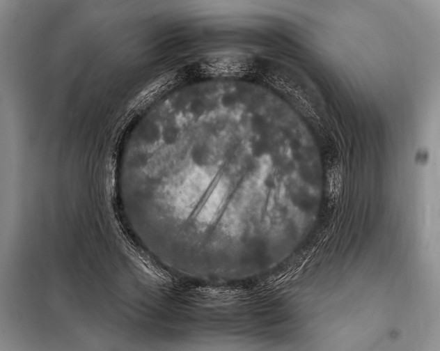 X0000098120733200804181520