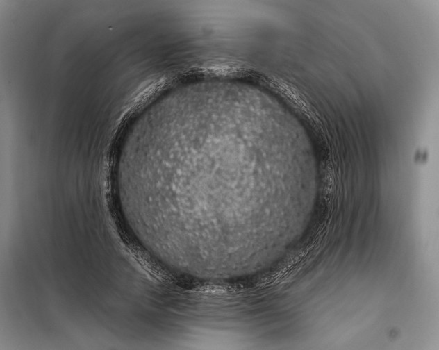 X0000098120738200804181520