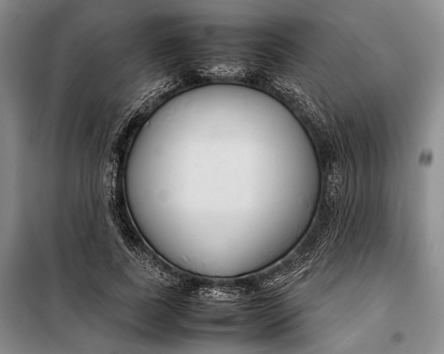 X0000098120739200804181520