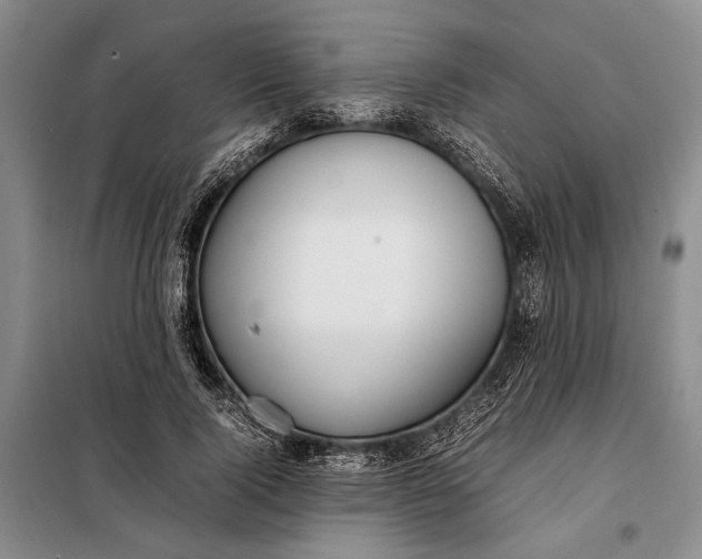 X0000098120740200804181520