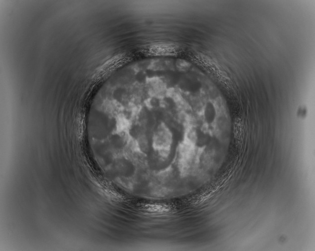X0000098120741200804181520