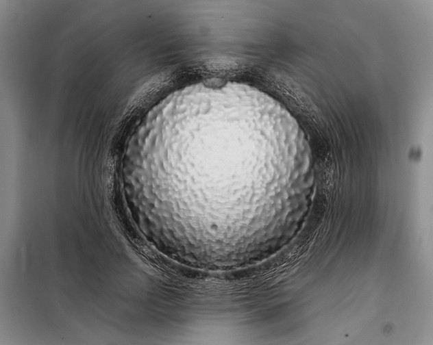 X0000098120742200804181520