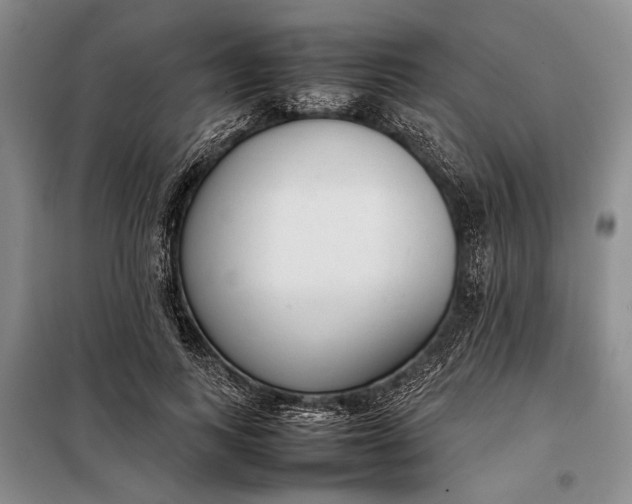 X0000098120743200804181520