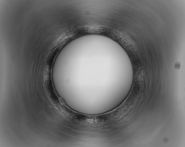 X0000098120744200804181520