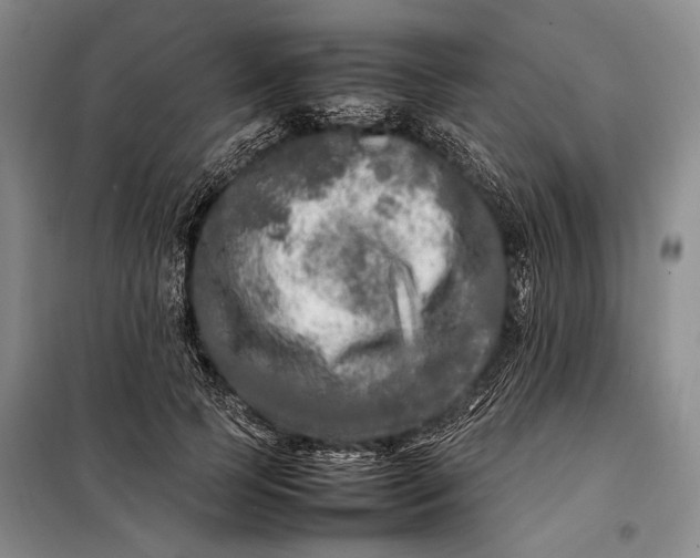 X0000098120745200804181520