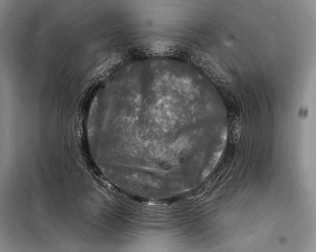 X0000098120746200804181520