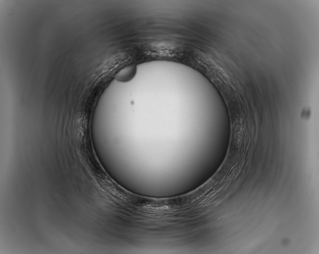 X0000098120747200804181520