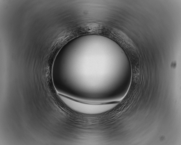 X0000098120748200804181520