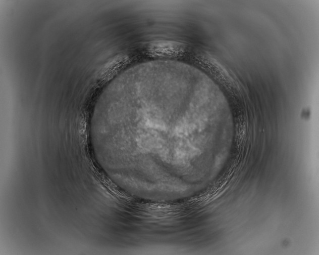 X0000098120749200804181520