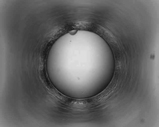 X0000098120751200804181520
