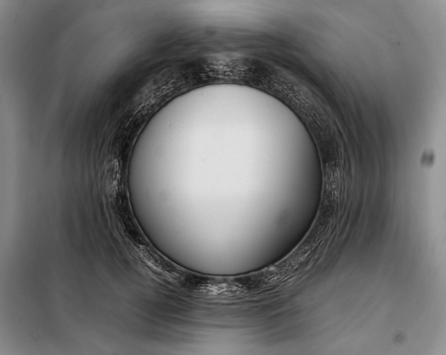 X0000098120752200804181520