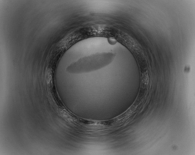 X0000098120754200804181520