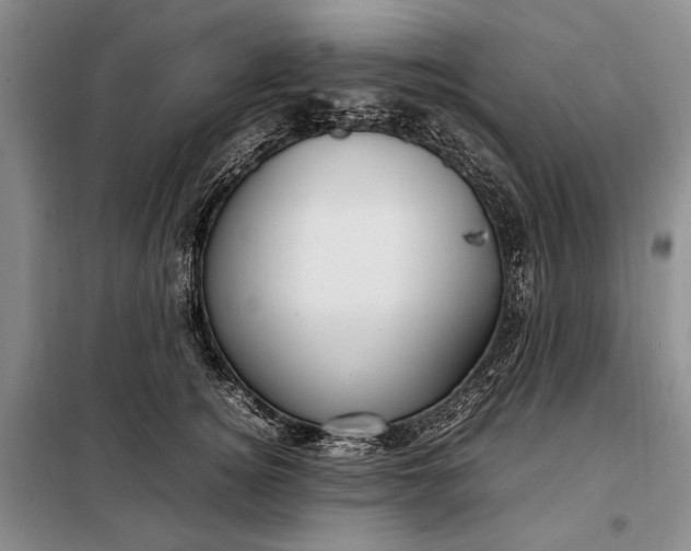 X0000098120756200804181520