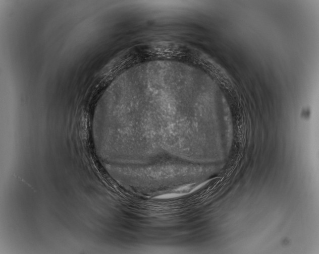 X0000098120757200804181520