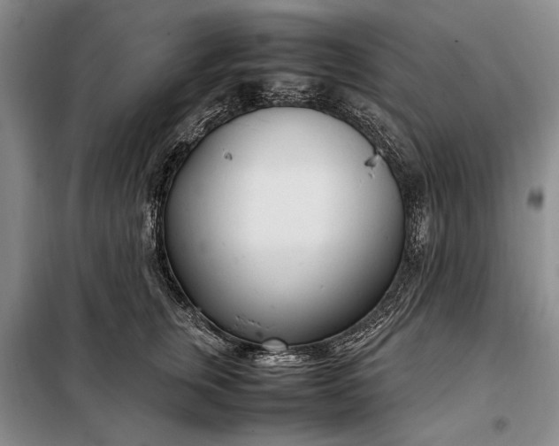 X0000098120759200804181520